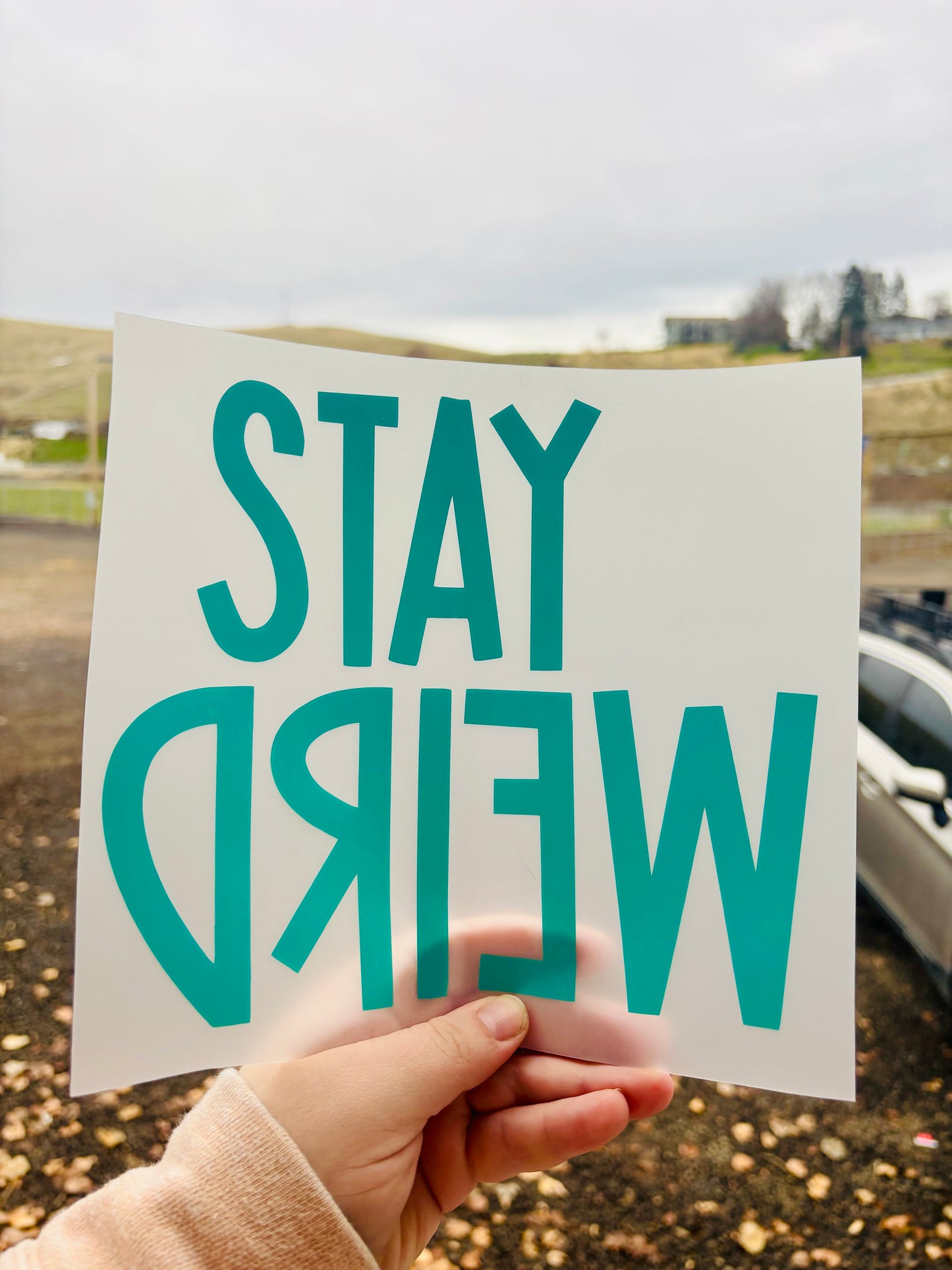 Stay Weird Vinyl Decal