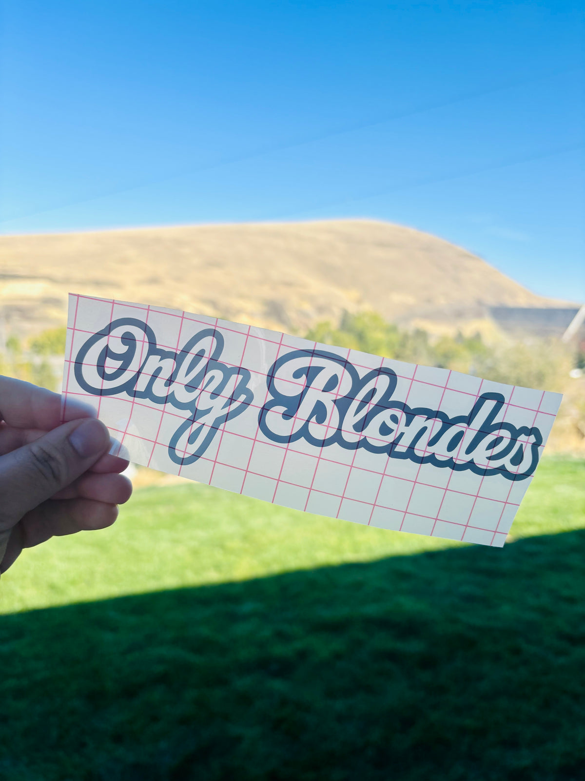 READY TO SHIP Only Blondes Vinyl Decal
