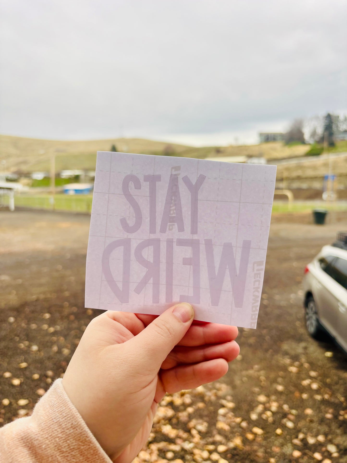 Stay Weird Vinyl Decal