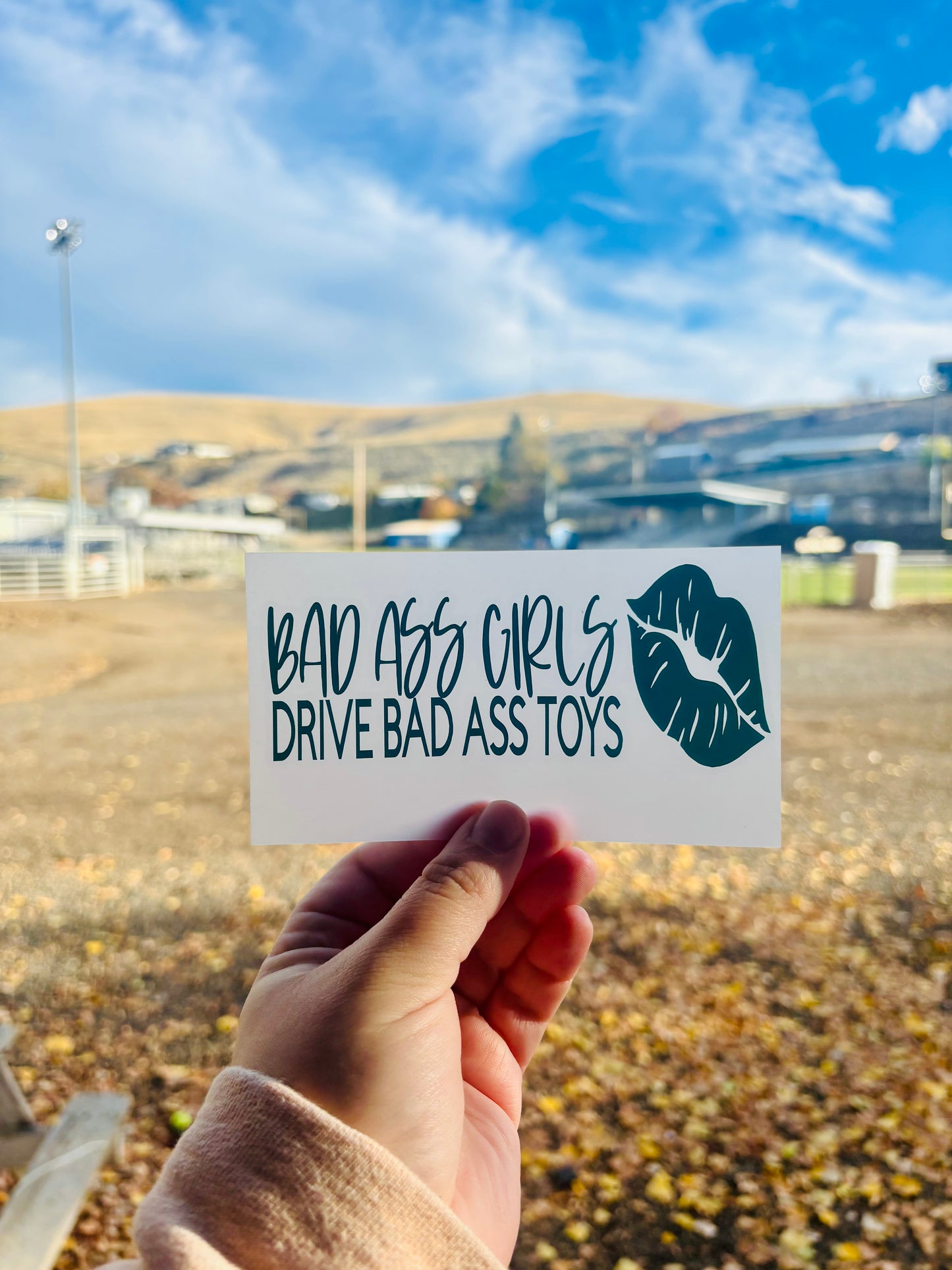 Bad Ass Girls Drive Bad Ass Toys with Lips Vinyl Decal