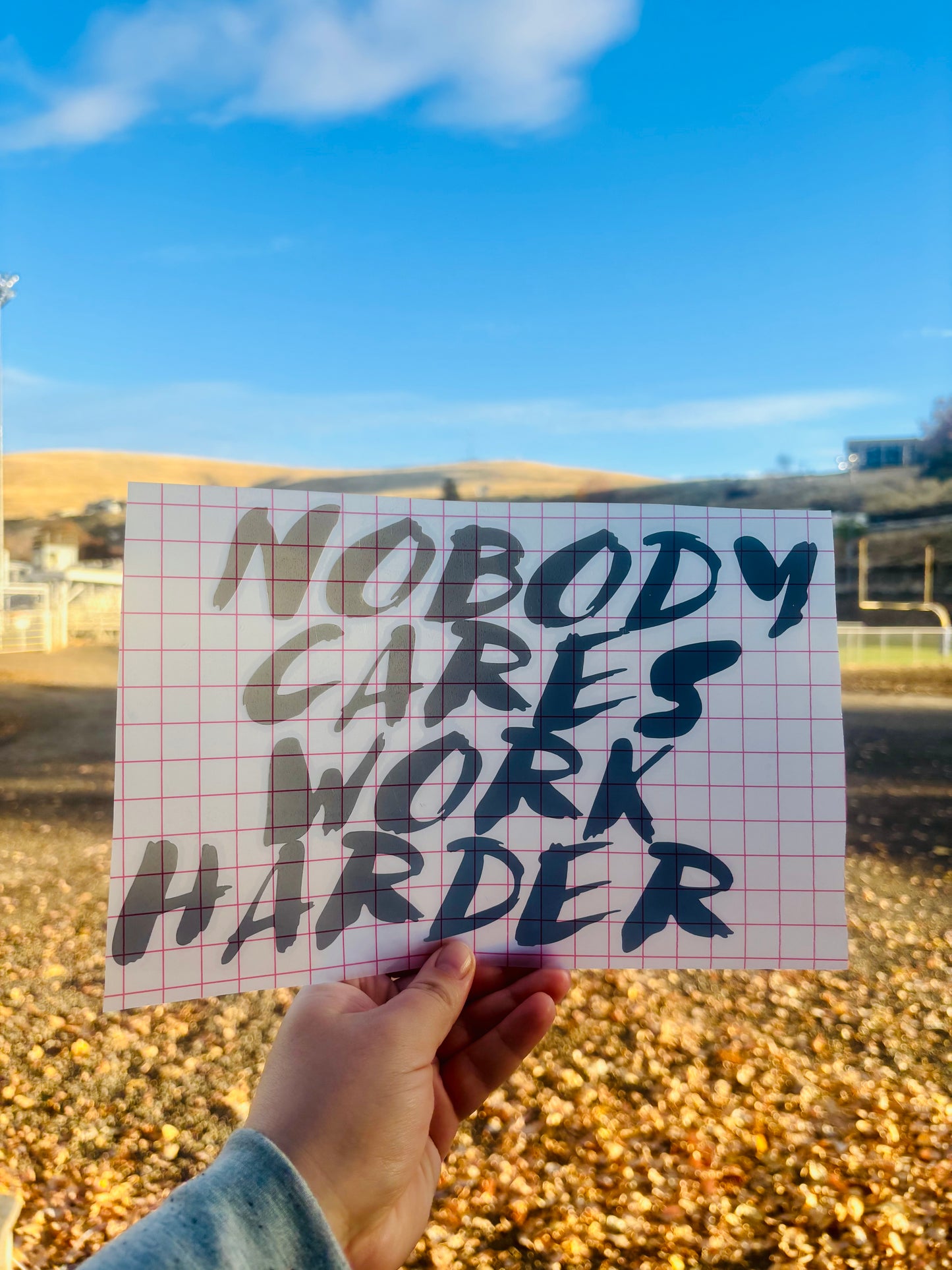 Nobody Cares Work Harder Vinyl Decal