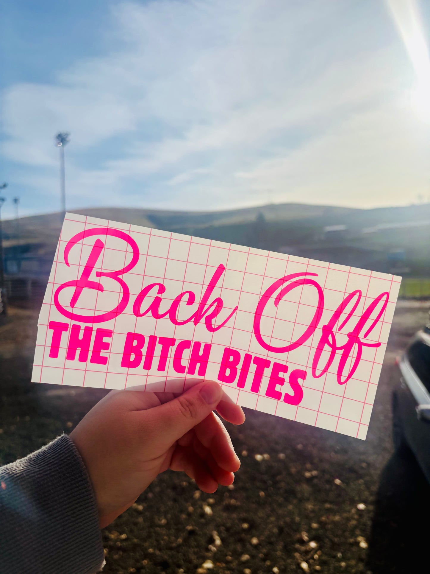 READY TO SHIP Back Off The Bitch Bites Vinyl Decal
