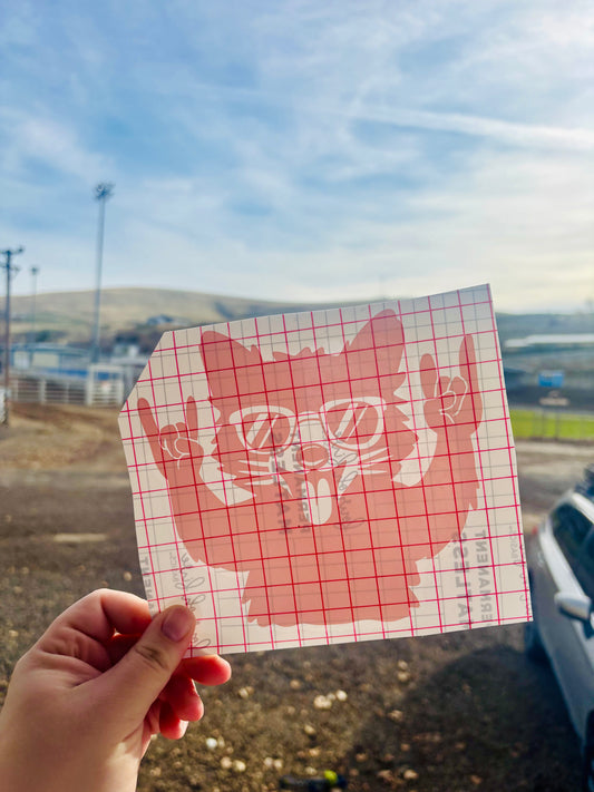 READY TO SHIP Raccoon Vinyl Decal